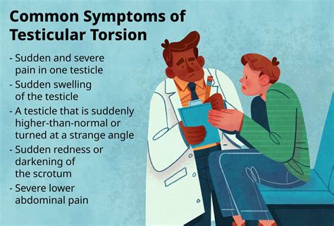 torsion of testes causes symptoms & diagnosis healthline|testicular torsion signs.